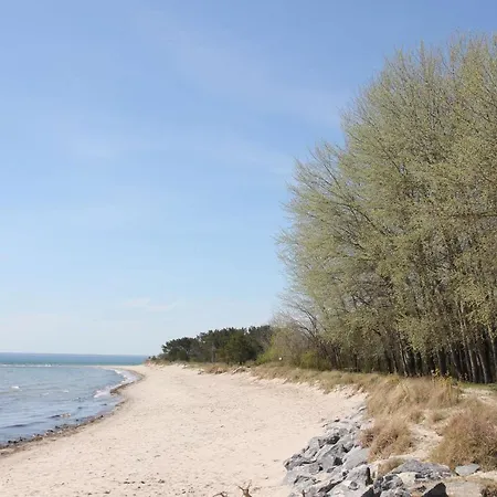 Schicke Mit Terrasse, Gratis Nutzung Vom Ahoi Erlebnisbad Und Sauna In Sellin - Haus De Niege Wech 02 Apartament *