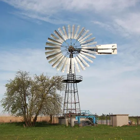 Schicke Mit Terrasse, Gratis Nutzung Vom Ahoi Erlebnisbad Und Sauna In Sellin - Haus De Niege Wech 02 *