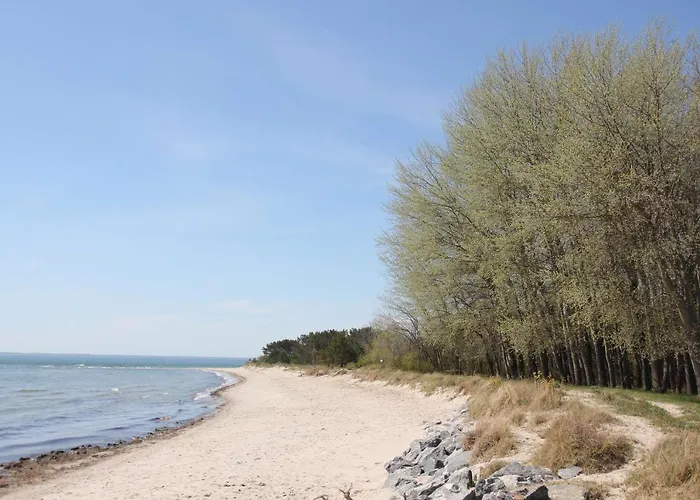 Schicke Mit Terrasse, Gratis Nutzung Vom Ahoi Erlebnisbad Und Sauna In Sellin - Haus De Niege Wech 02 Appartement *